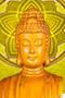 icon/20-shakandback.png